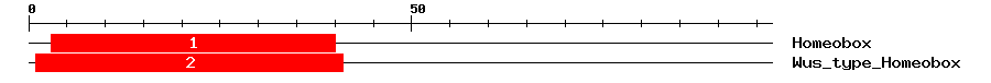 Signature Domain
