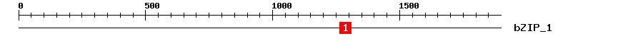 Signature Domain