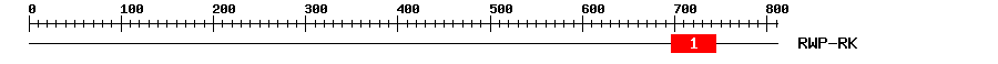 Signature Domain