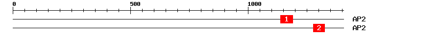 Signature Domain