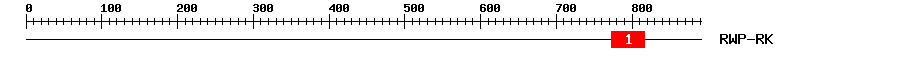 Signature Domain