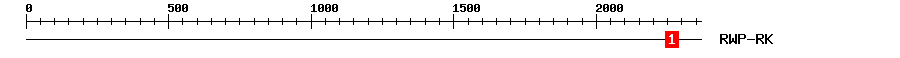 Signature Domain