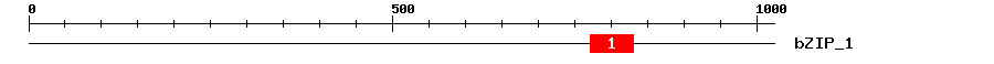 Signature Domain