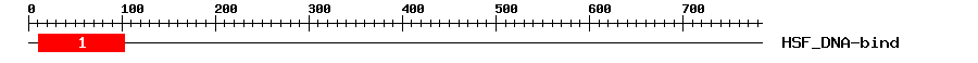 Signature Domain