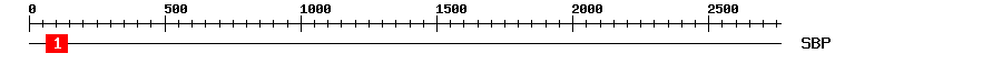 Signature Domain