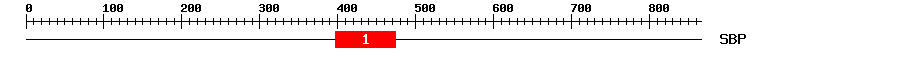 Signature Domain