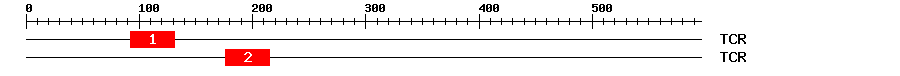 Signature Domain