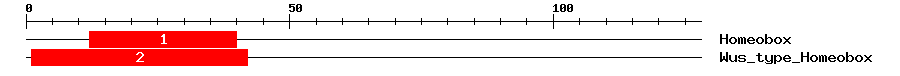 Signature Domain
