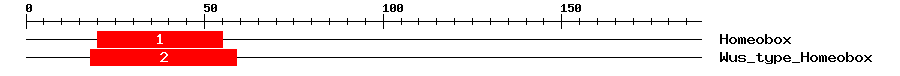 Signature Domain