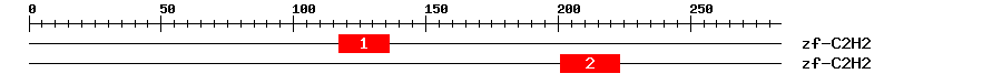 Signature Domain