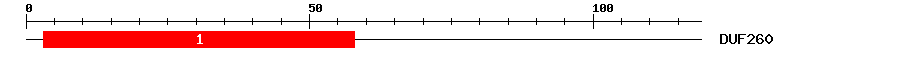 Signature Domain