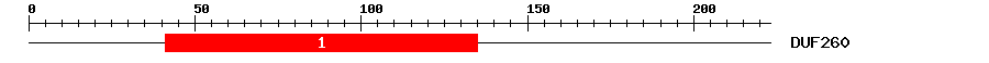 Signature Domain