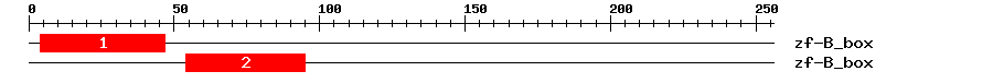 Signature Domain