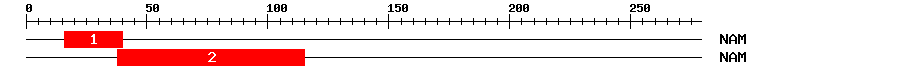 Signature Domain