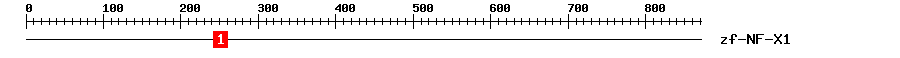 Signature Domain