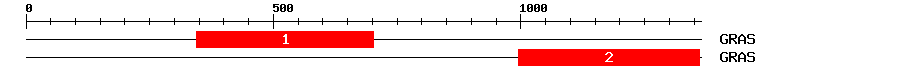 Signature Domain