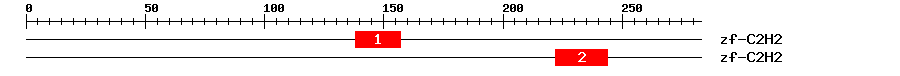 Signature Domain