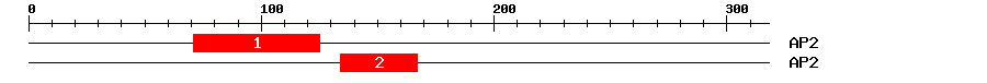 Signature Domain