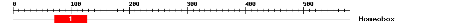 Signature Domain