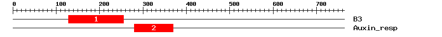 Signature Domain