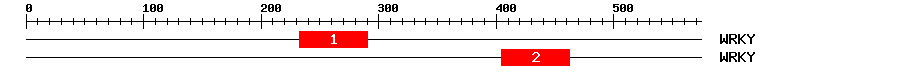 Signature Domain
