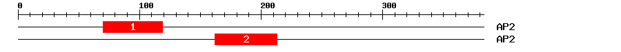 Signature Domain
