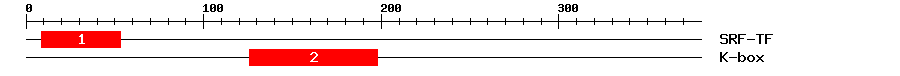 Signature Domain