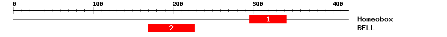 Signature Domain