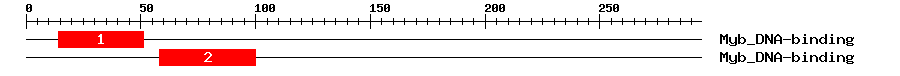 Signature Domain