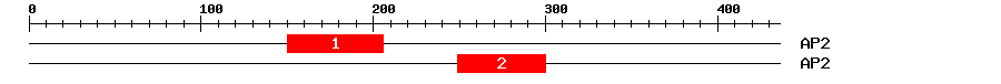 Signature Domain