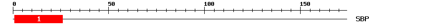 Signature Domain