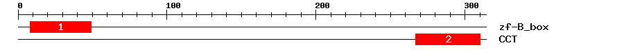 Signature Domain