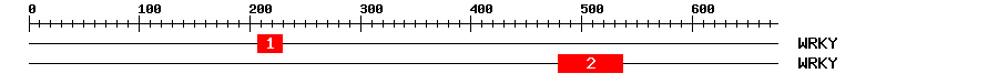 Signature Domain