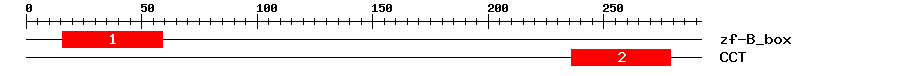 Signature Domain