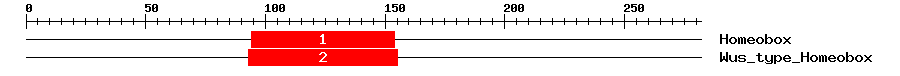 Signature Domain