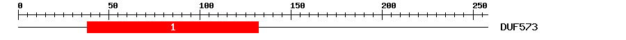 Signature Domain