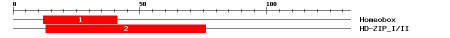 Signature Domain