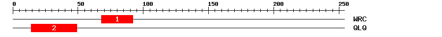 Signature Domain