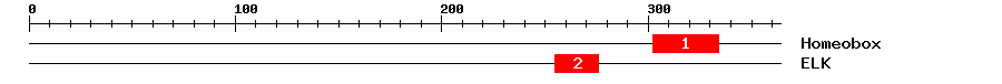 Signature Domain