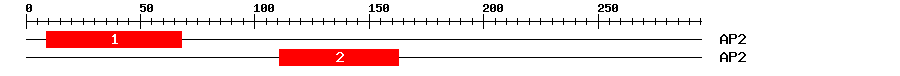 Signature Domain
