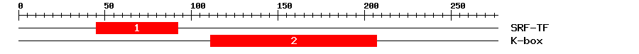 Signature Domain