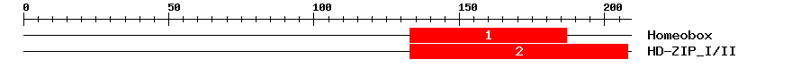 Signature Domain