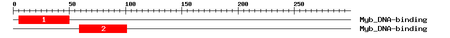 Signature Domain