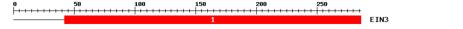 Signature Domain