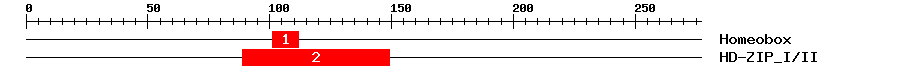 Signature Domain