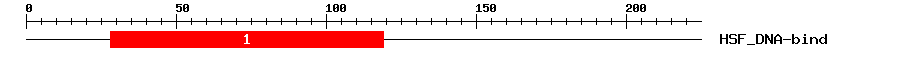 Signature Domain
