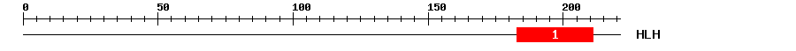 Signature Domain