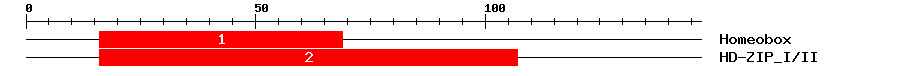 Signature Domain