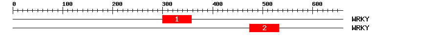 Signature Domain