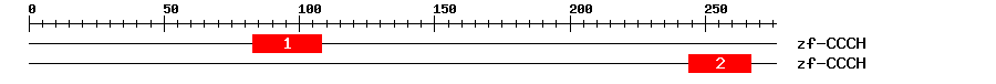 Signature Domain